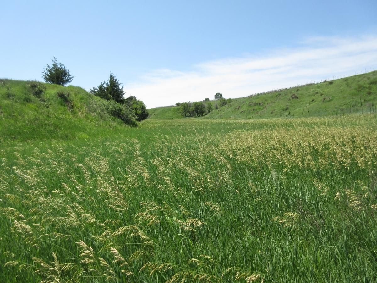 Curtis, Frontier County, NE Farms and Ranches, House for sale Property