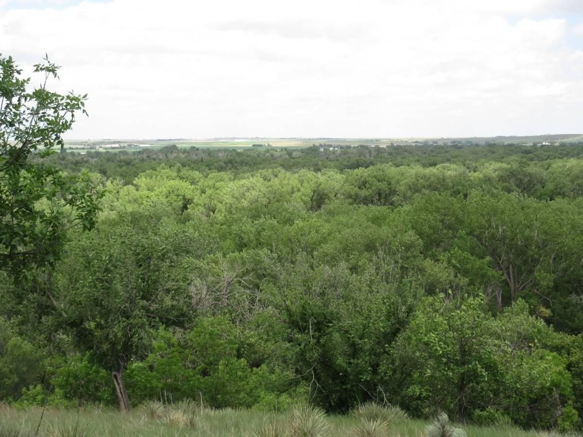 123.7 acres in McCook, NE, 69001 LandWatch