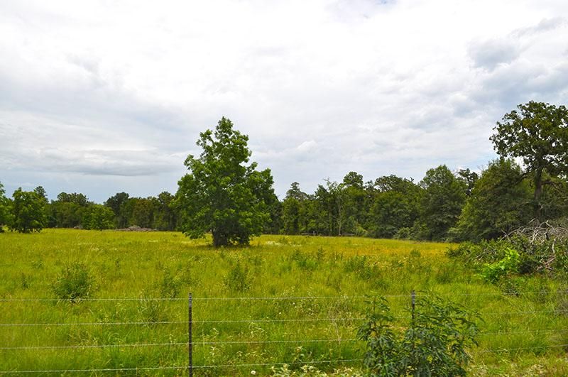 Weldon, Houston County, TX Farms and Ranches for sale Property ID