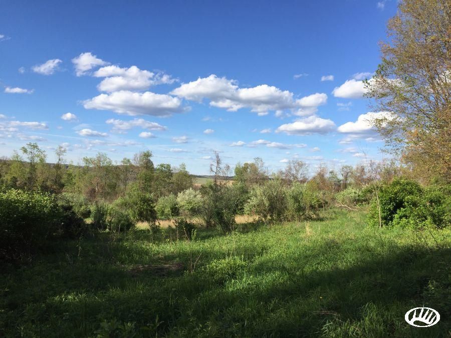 Clarion, Clarion County, PA Farms and Ranches for sale Property ID