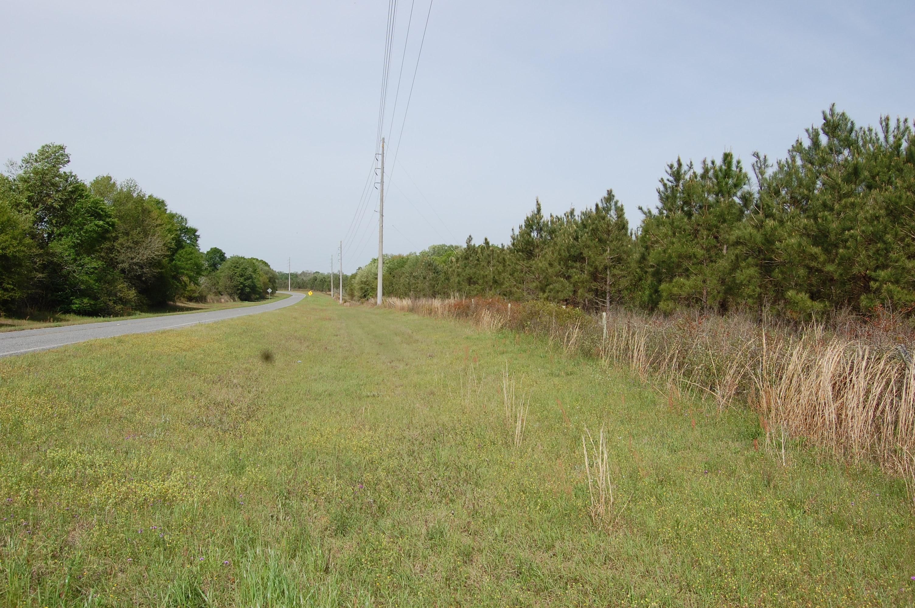 Mount Olive Road, Branchville, GA 31779 LandWatch