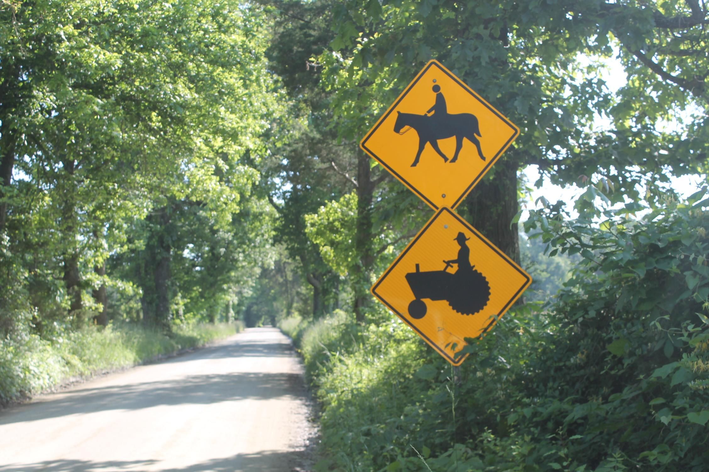 Charlottesville, Albemarle County, VA Farms and Ranches, Lakefront
