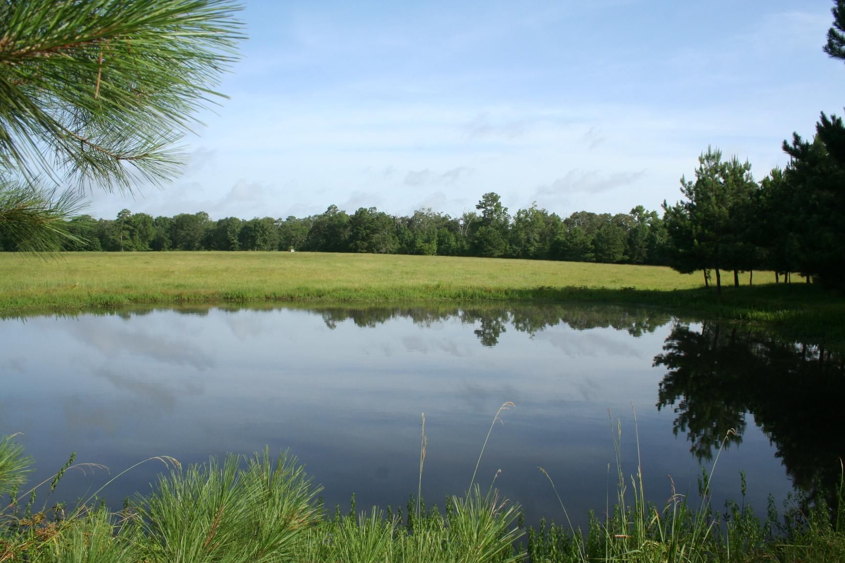 Richards, Montgomery County, TX Farms and Ranches for sale Property ID