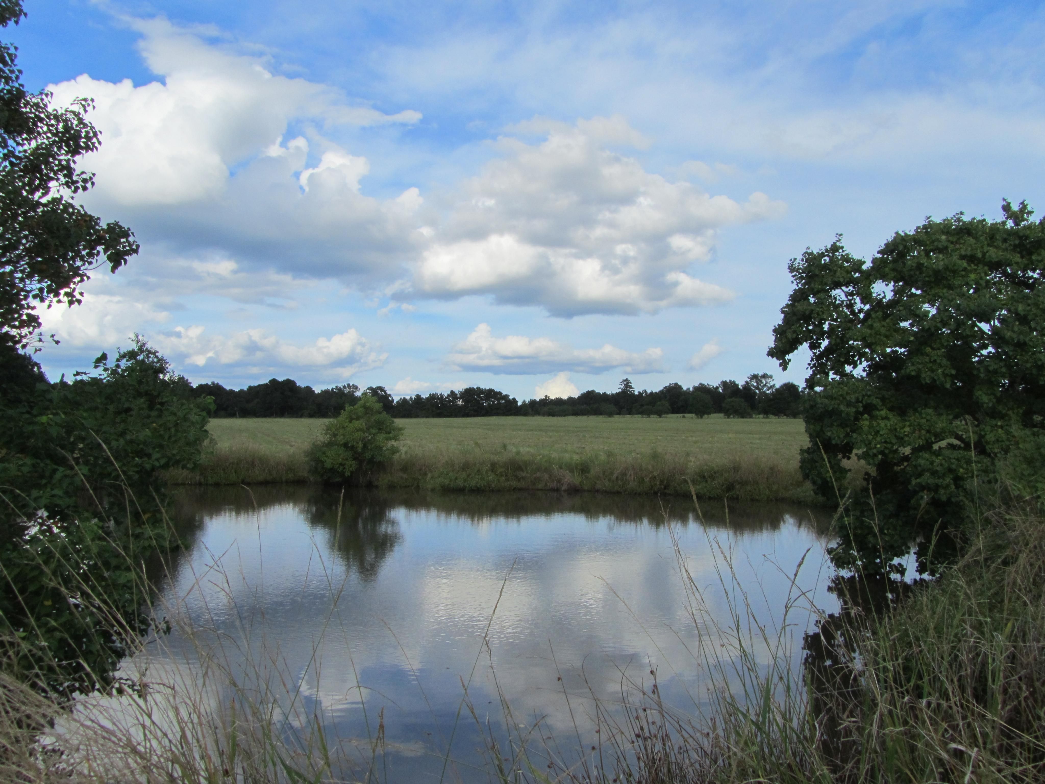 Groveton, Trinity County, TX Recreational Property, Hunting Property