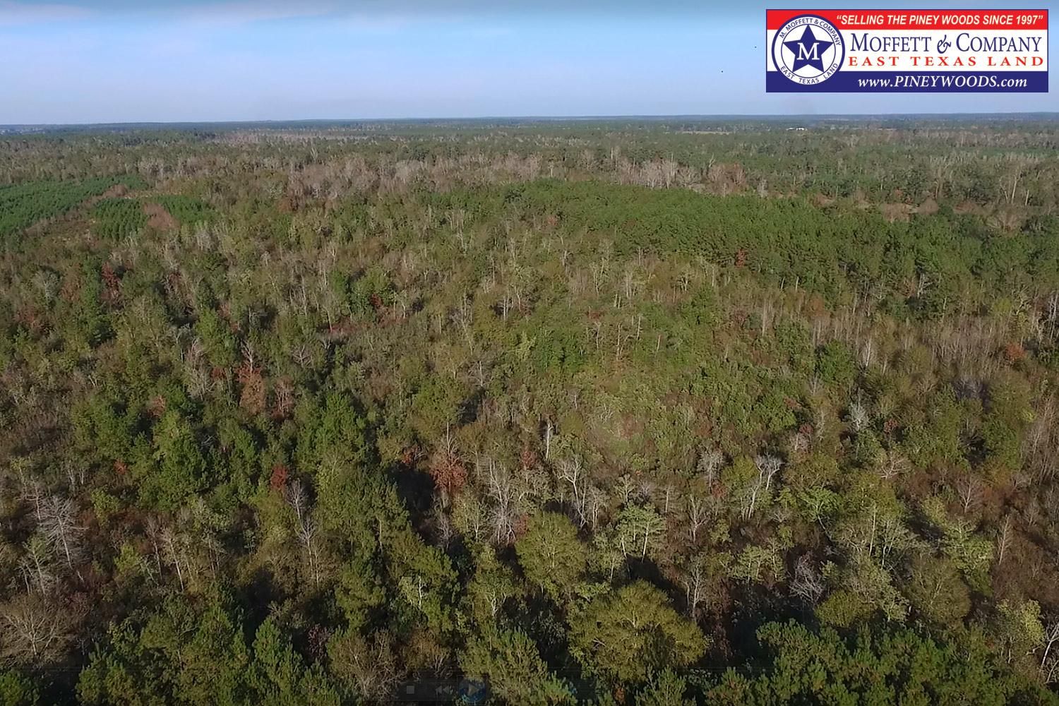 Hillister, Tyler County, TX Farms and Ranches for sale Property ID