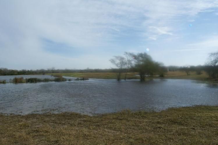 Pettus, Karnes County, TX Farms and Ranches, House for sale Property ID