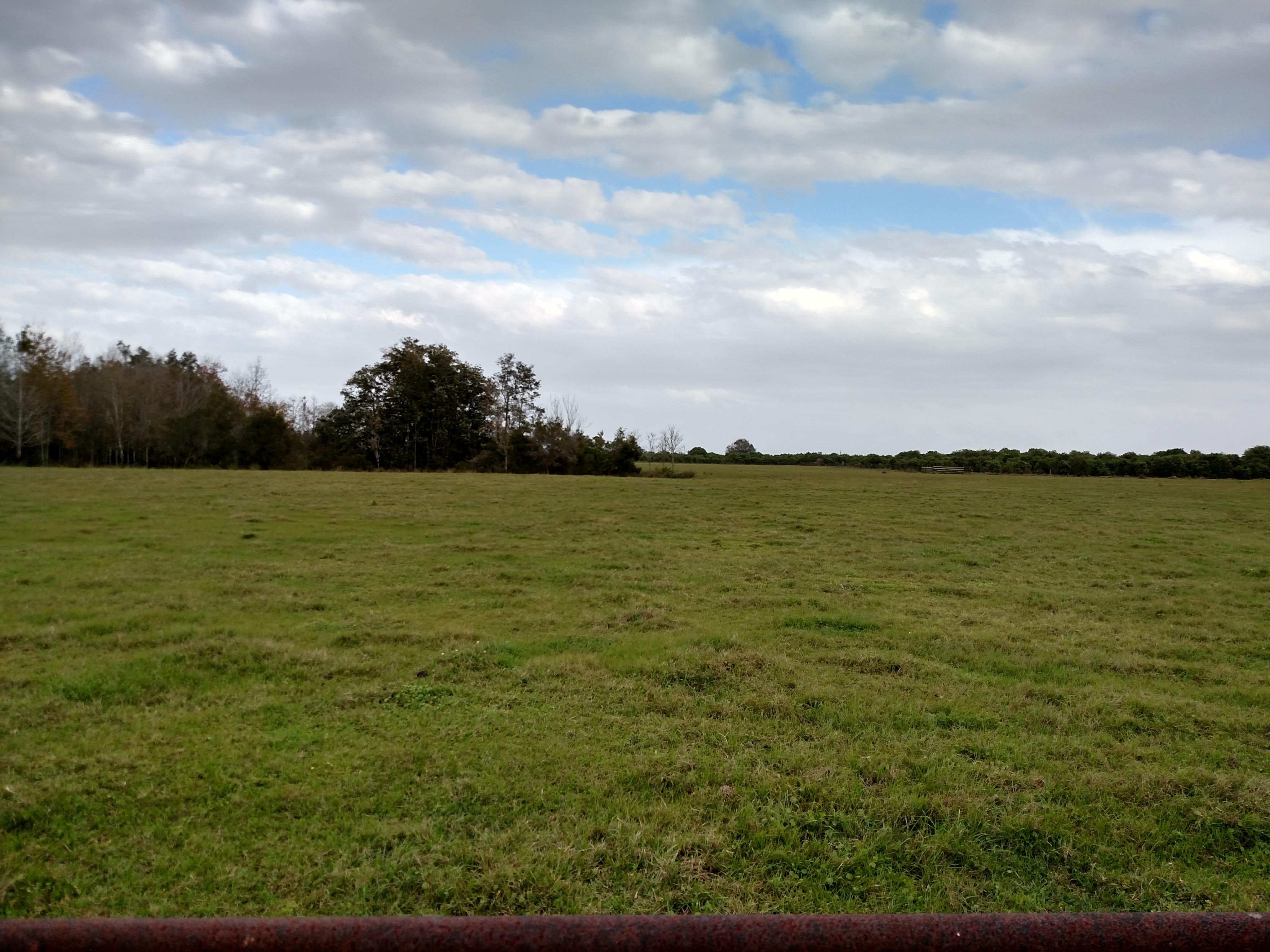 Wauchula, Hardee County, FL Farms and Ranches for sale Property ID
