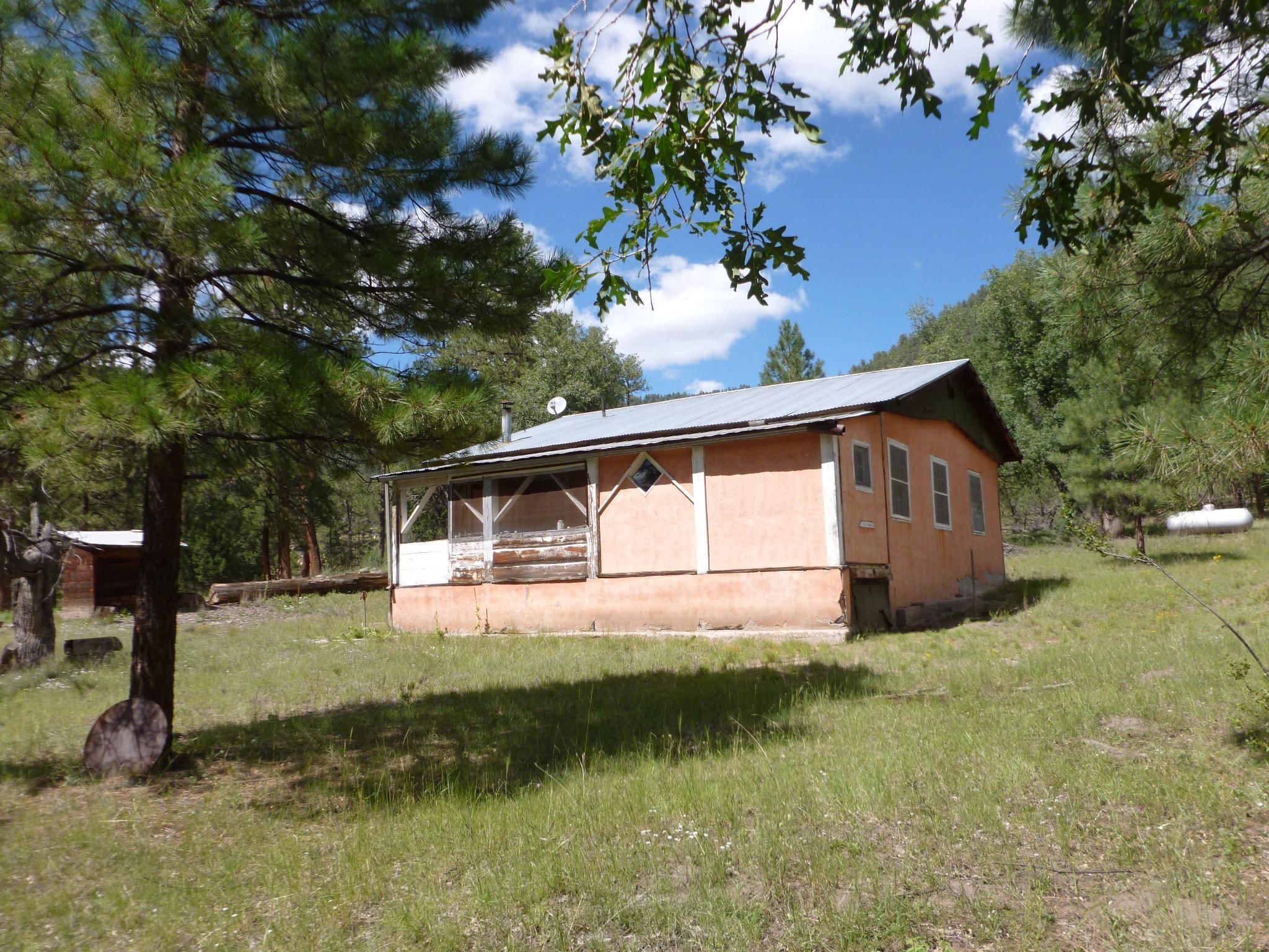 Reserve, Catron County, NM Farms and Ranches, House for sale Property