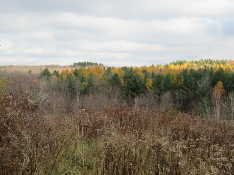 Florence, Oneida County, NY Recreational Property, Hunting Property for