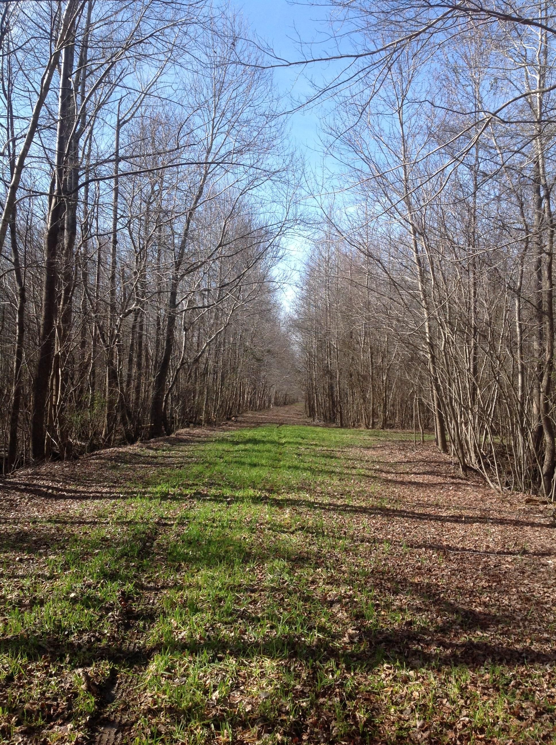 Shawboro, Currituck County, NC Farms and Ranches for sale Property ID 402166155 LandWatch