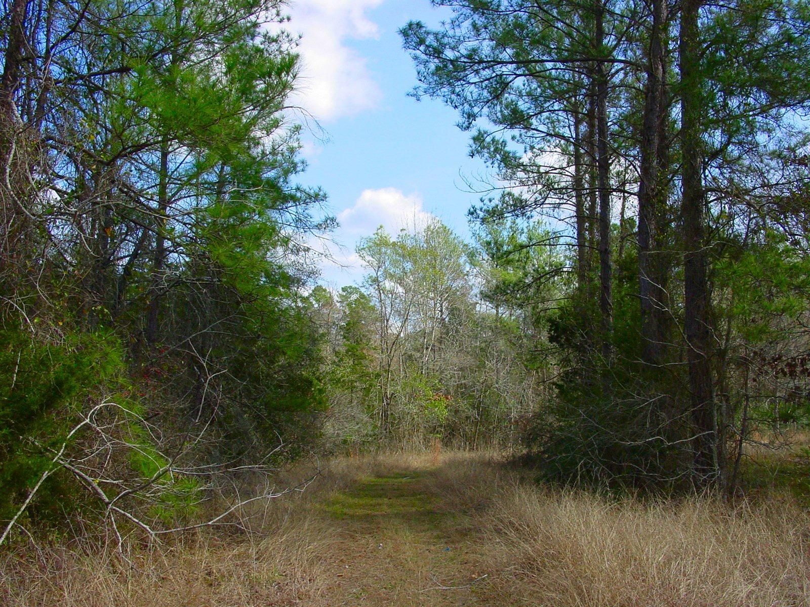 Willis, Montgomery County, TX Farms and Ranches, Homesites for sale