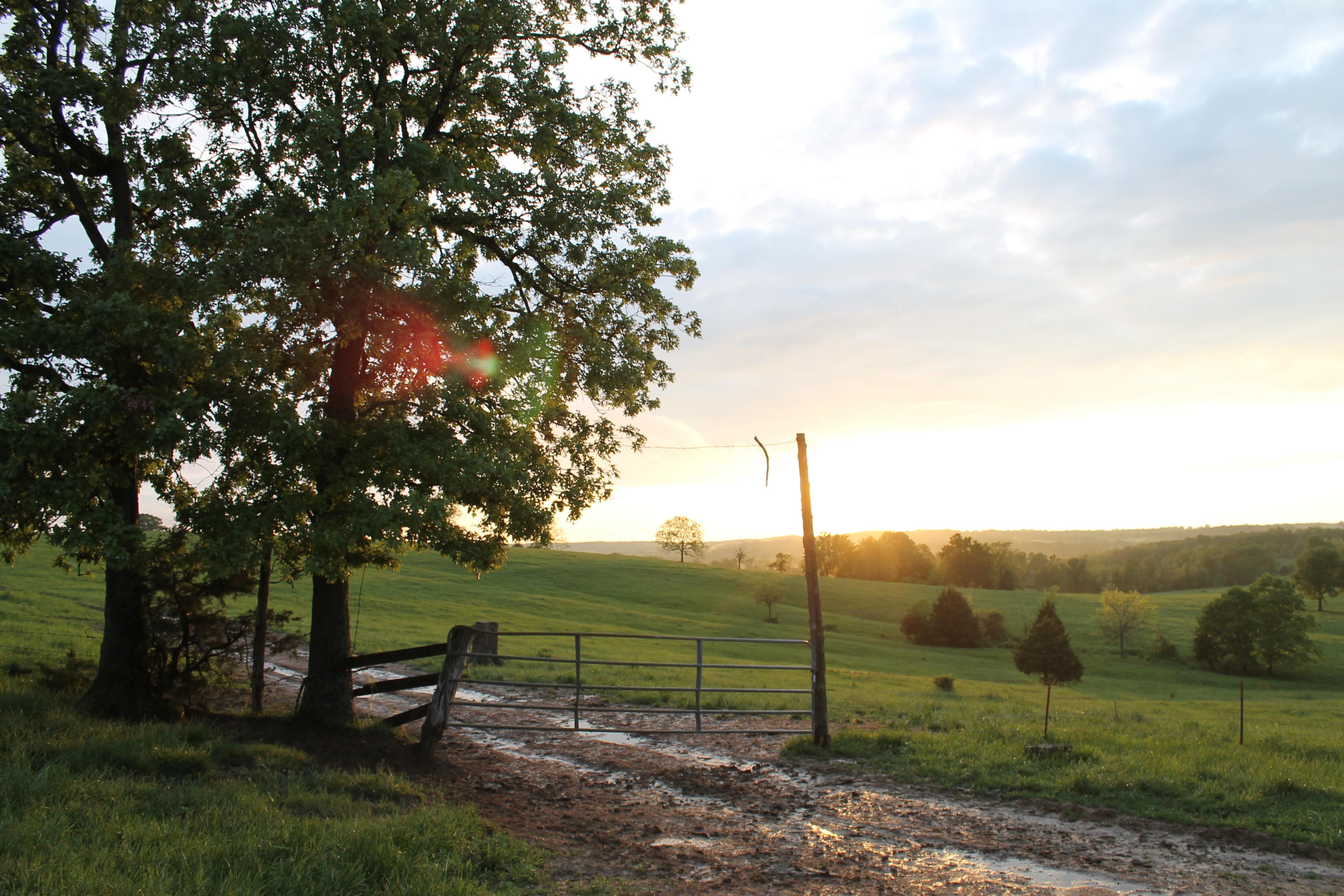 Belle, Osage County, MO Farms and Ranches, House for sale Property ID