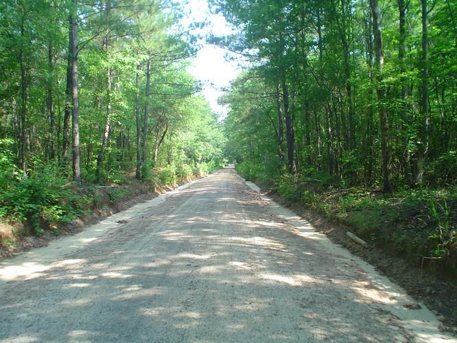 Salley, Aiken County, SC Farms and Ranches, Undeveloped Land, Hunting