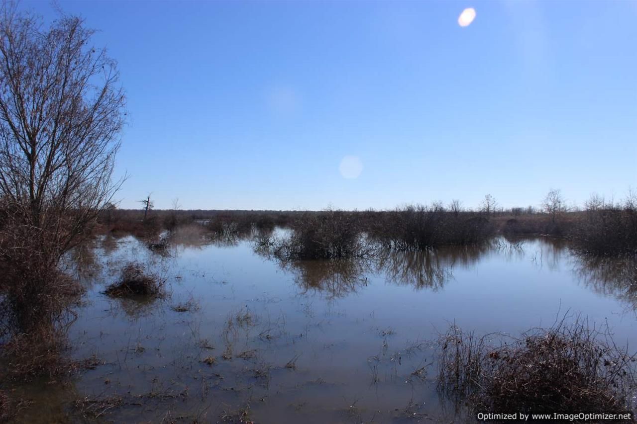 Mayersville, Issaquena County, MS Farms and Ranches, House for sale