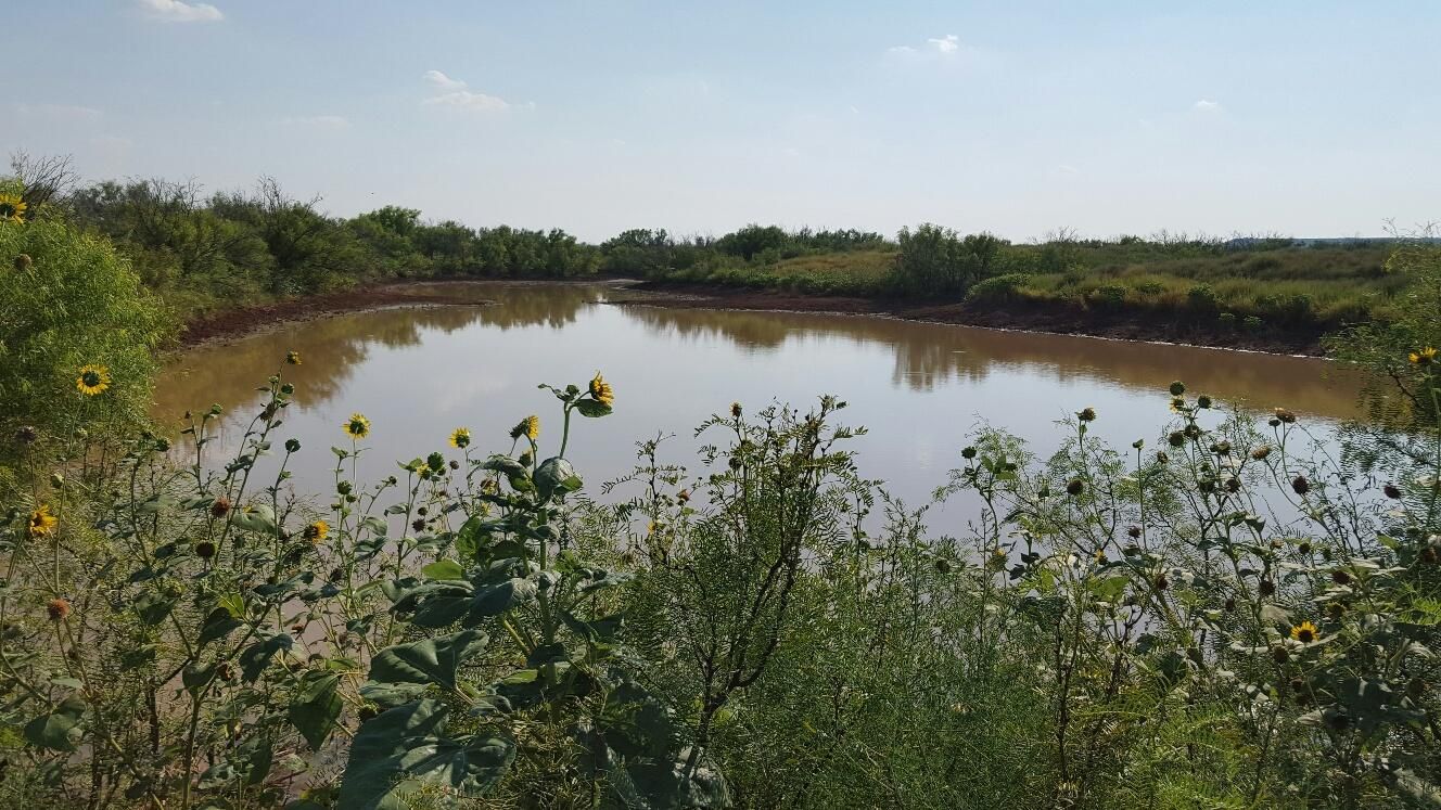 Sagerton, Haskell County, TX Farms and Ranches for sale Property ID