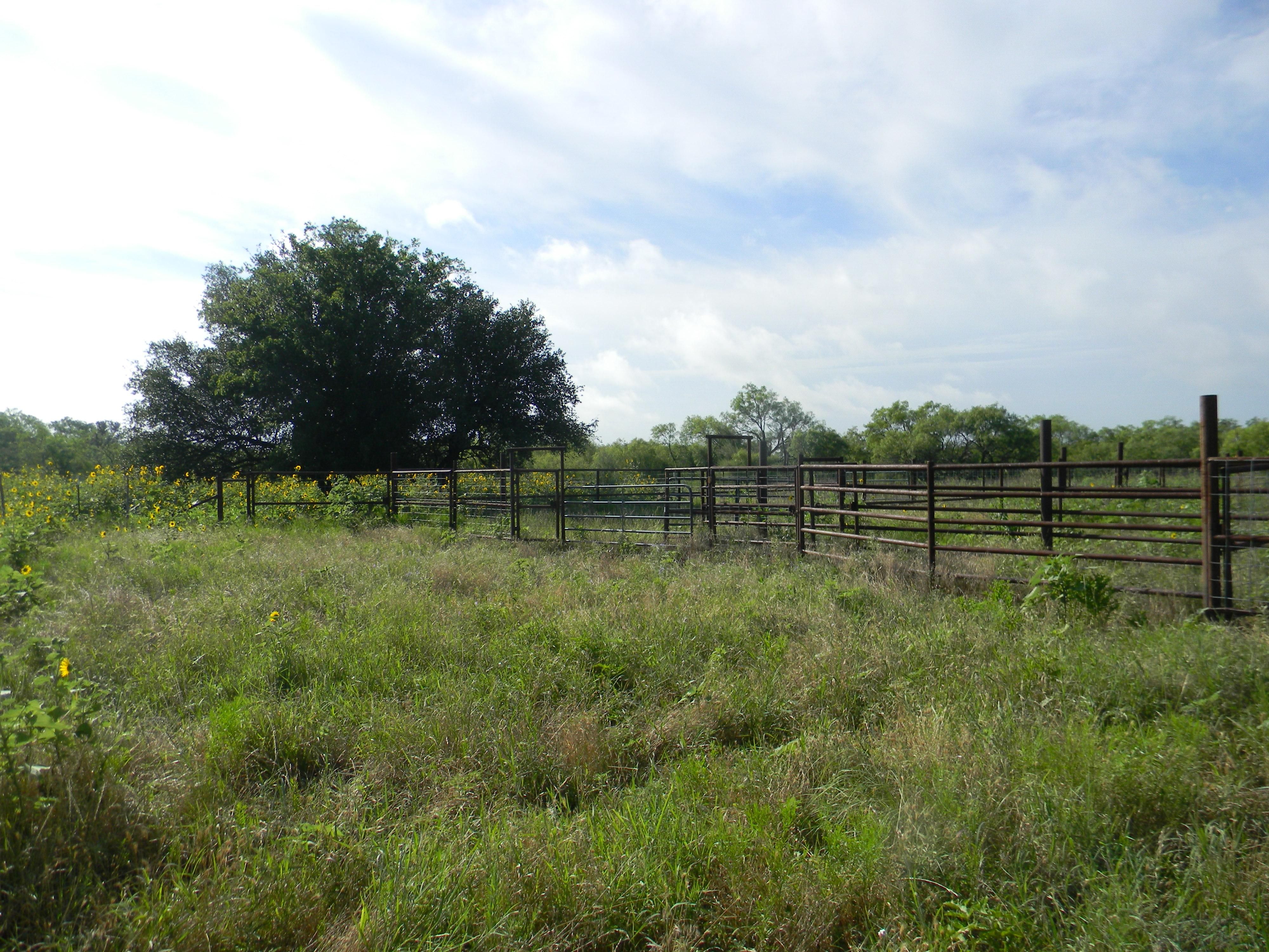 Burkett, Coleman County, TX Farms and Ranches for sale Property ID