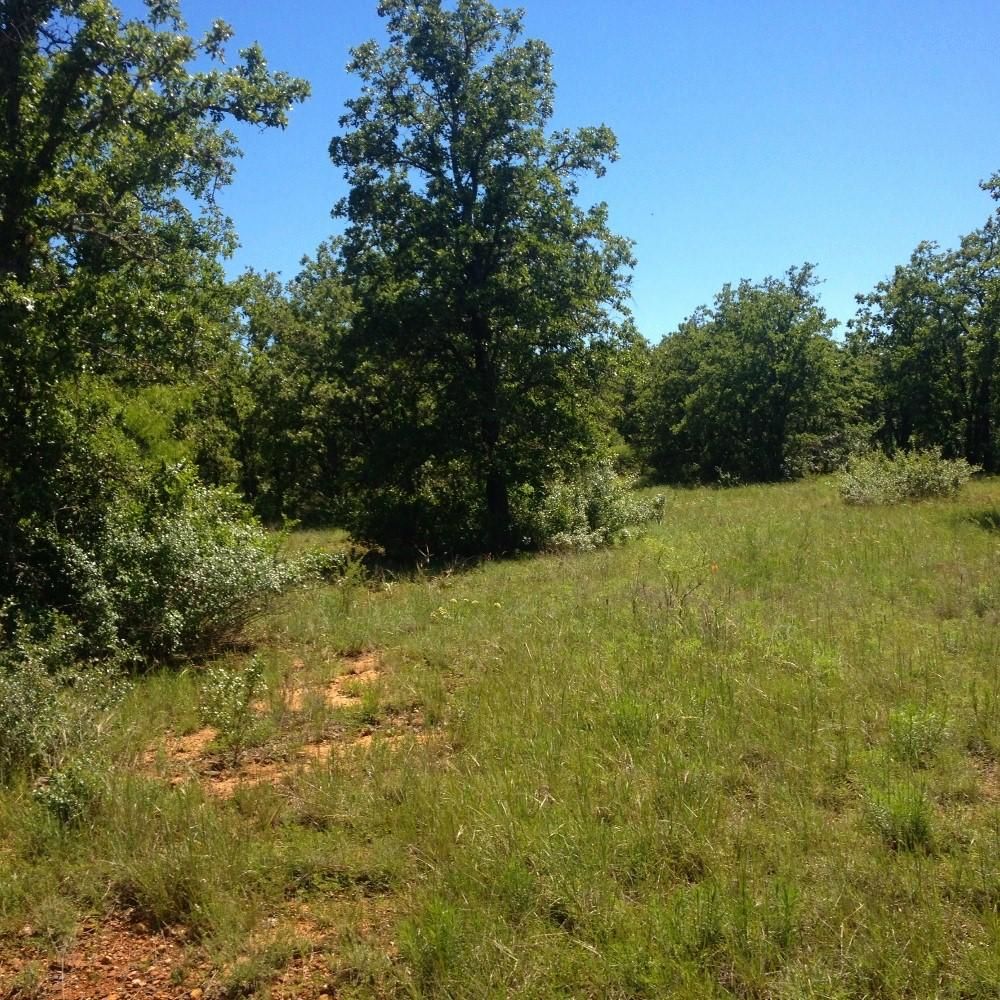 Gorman, Eastland County, TX Farms and Ranches, Recreational Property