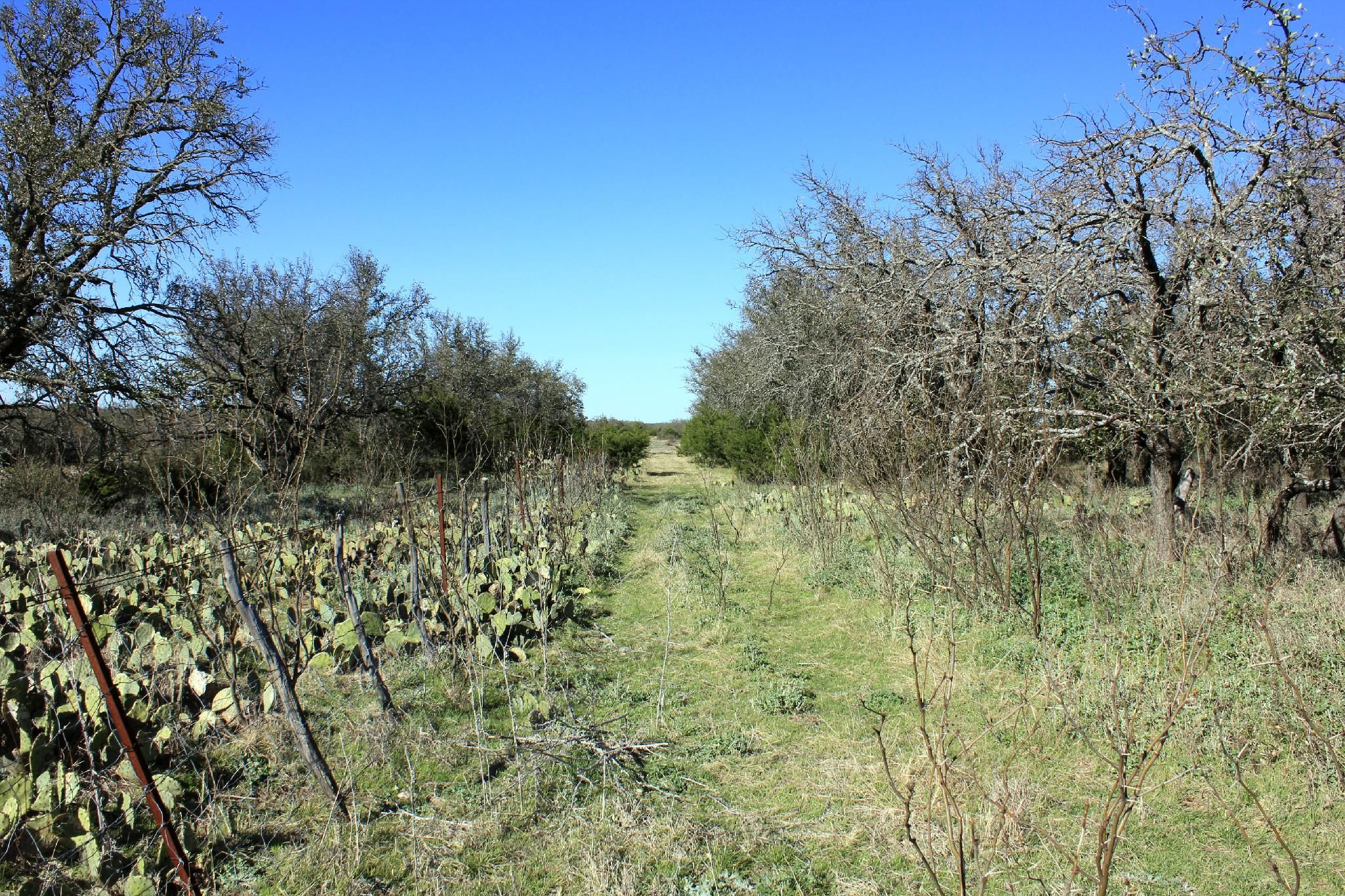 Fort McKavett, Menard County, TX Farms and Ranches, Recreational Property, Hunting Property for