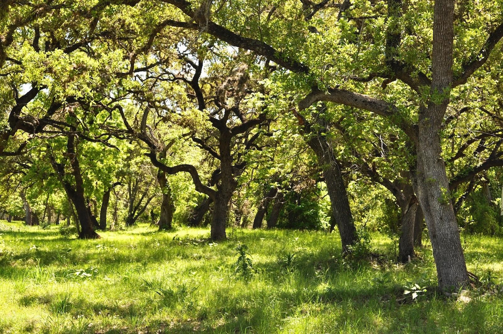 10.1 acres in Vanderpool, TX, 78885 LandWatch