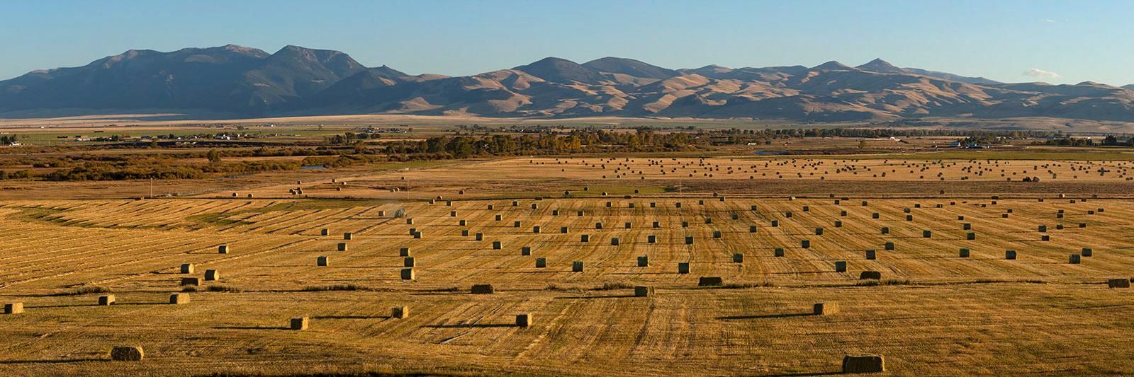 Dillon, Beaverhead County, MT Farms and Ranches for sale Property ID 401527178 LandWatch