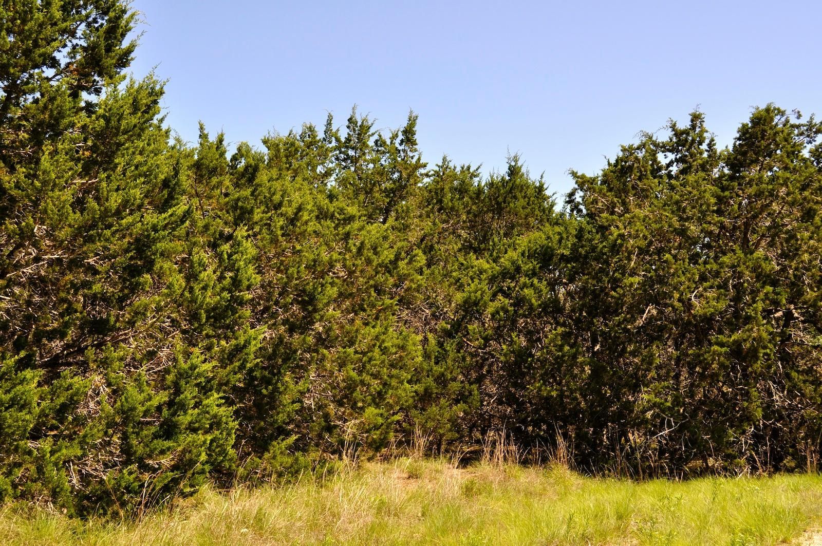 Tarpley, Bandera County, TX Farms and Ranches for sale Property ID