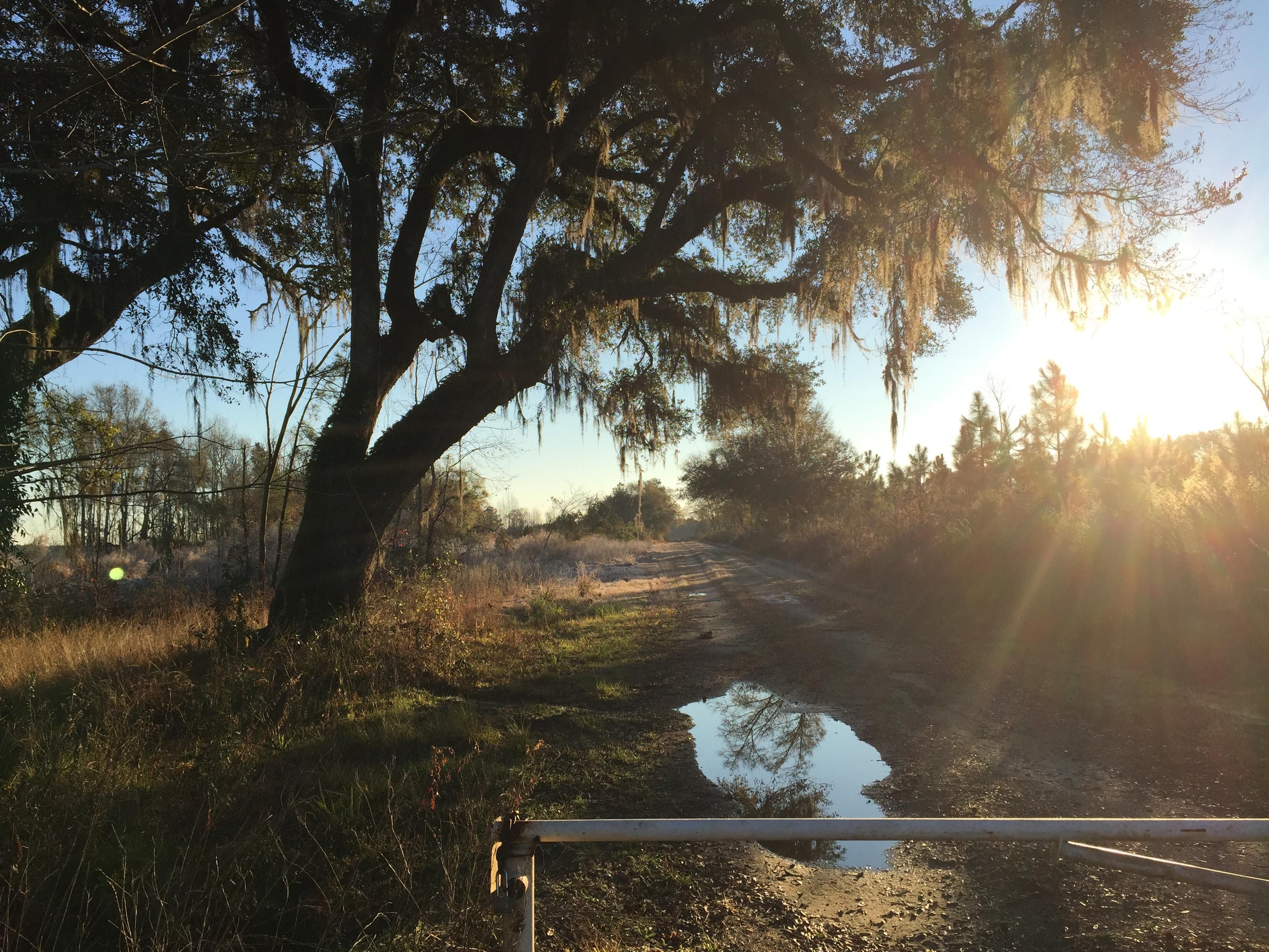 Jacksonboro, Charleston County, SC Farms and Ranches for sale Property