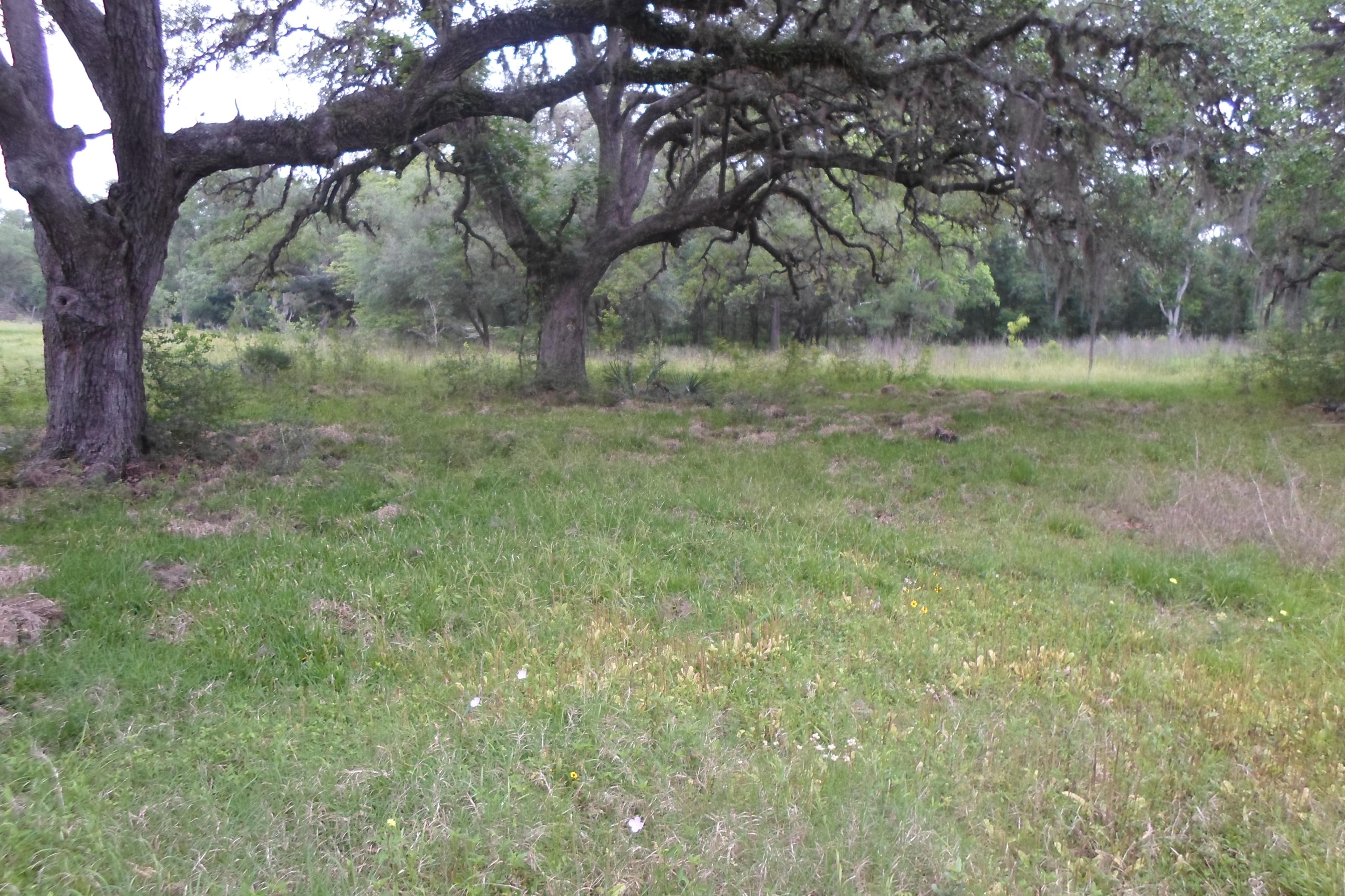 West Columbia, Brazoria County, TX Commercial Property for sale