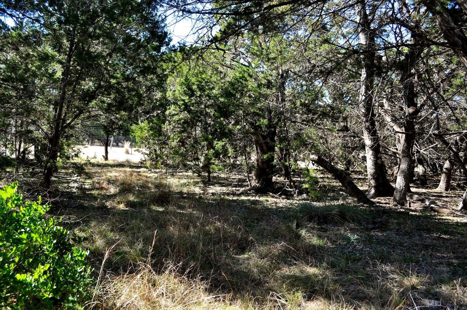 Tarpley, Bandera County, TX Farms and Ranches, Homesites for sale