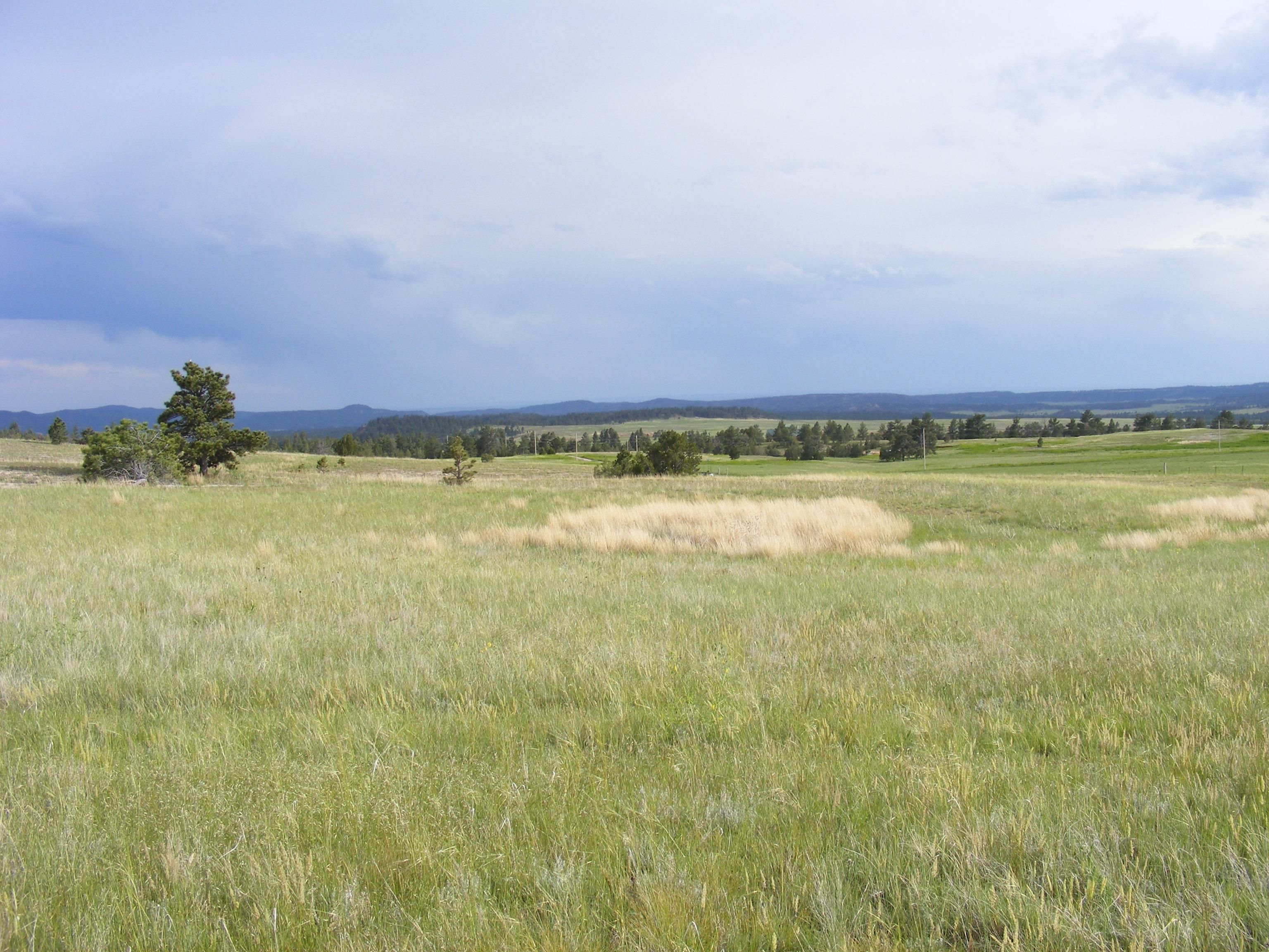 Pringle, Custer County, SD Farms and Ranches for sale Property ID