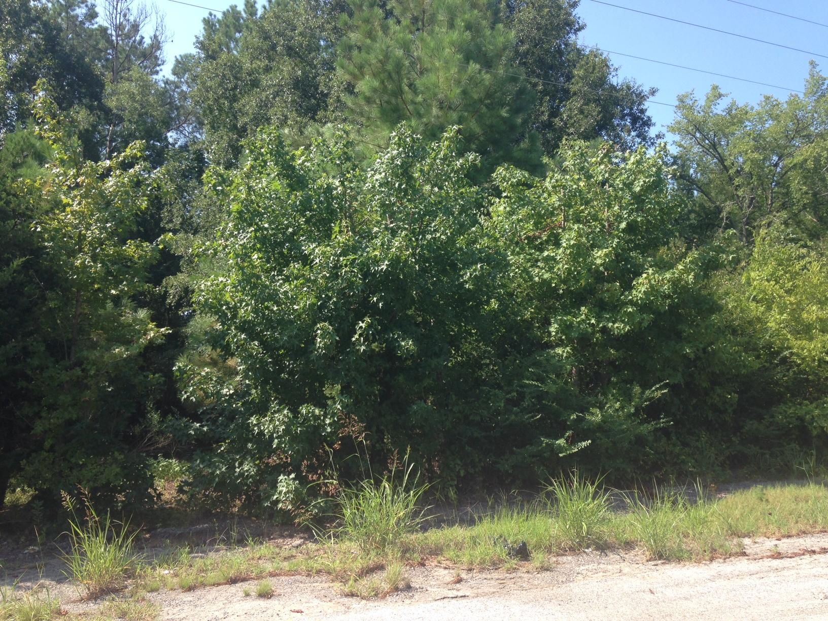 Kilgore, Gregg County, TX Farms and Ranches for sale Property ID