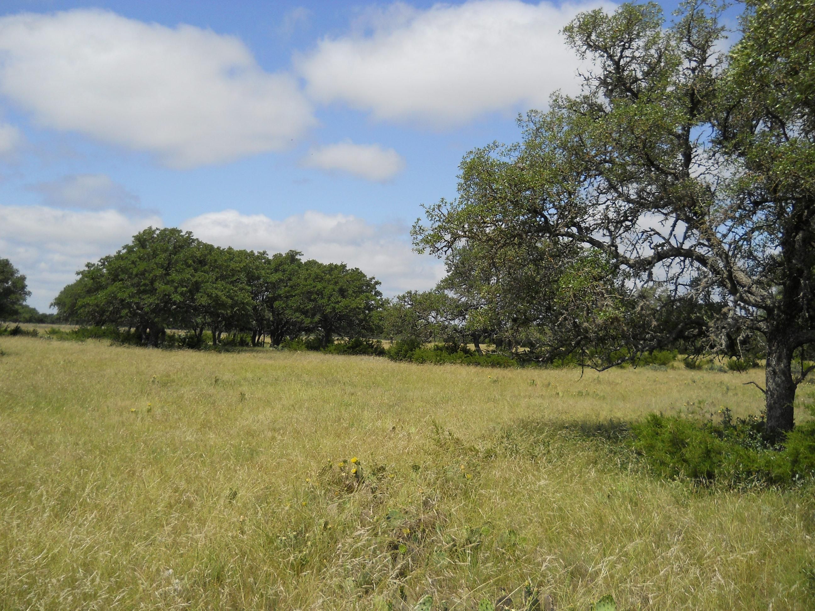 Rocksprings, Edwards County, TX Farms and Ranches, Hunting Property