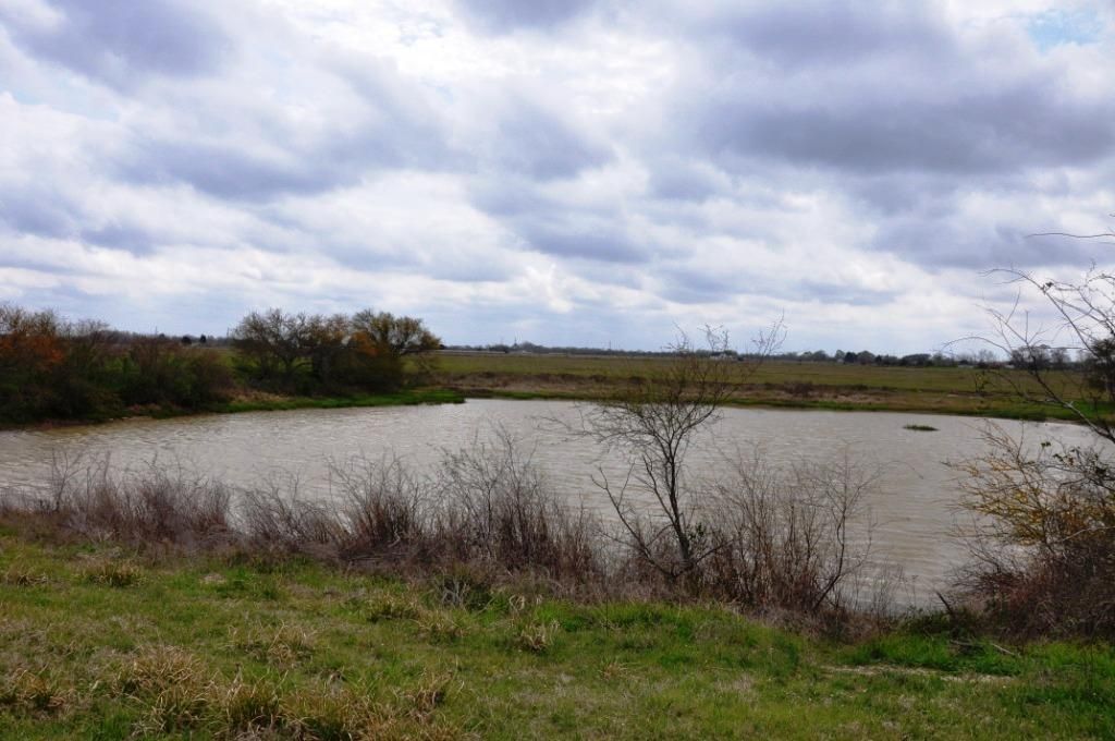 Sealy, Austin County, TX Farms and Ranches for sale Property ID