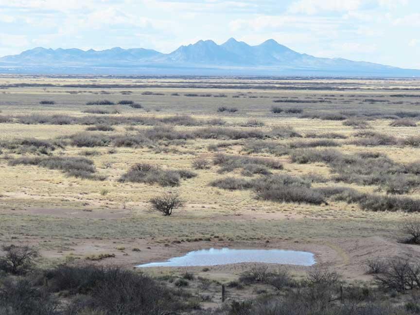 Columbus, Dona Ana County, NM Farms and Ranches, House for sale Property ID 401900913 LandWatch