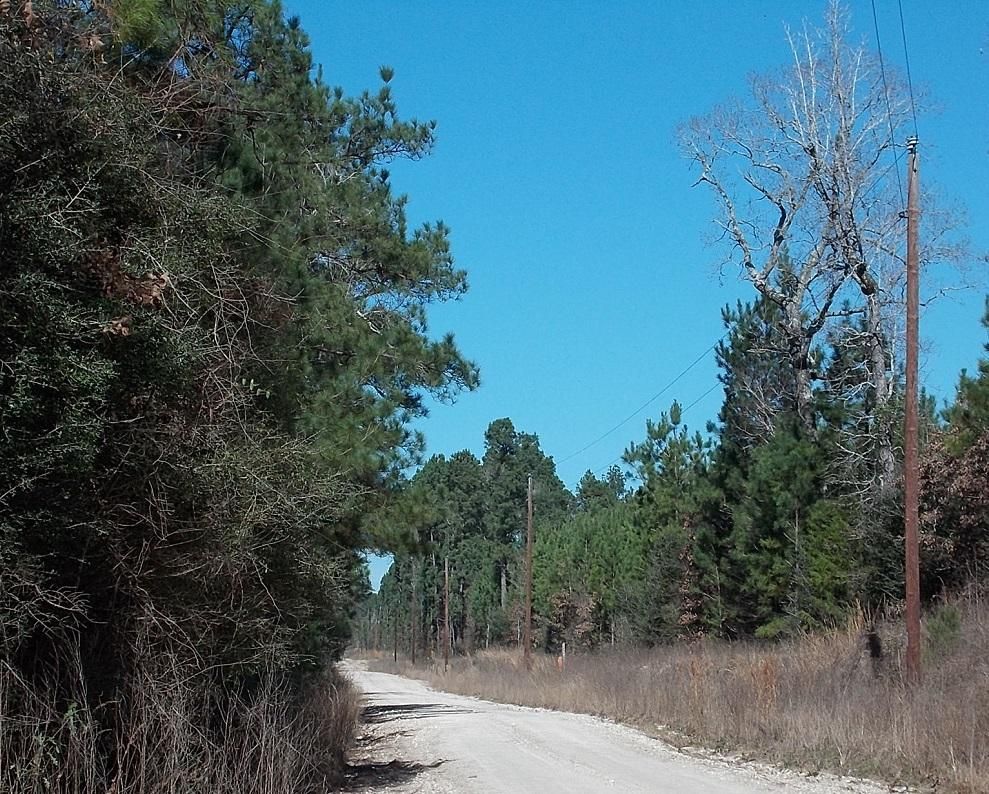Apple Springs, Trinity County, TX Recreational Property, Timberland