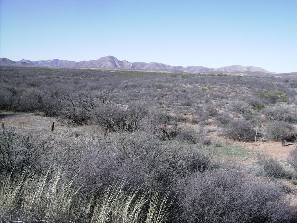 Bisbee, Cochise County, AZ Farms and Ranches for sale Property ID