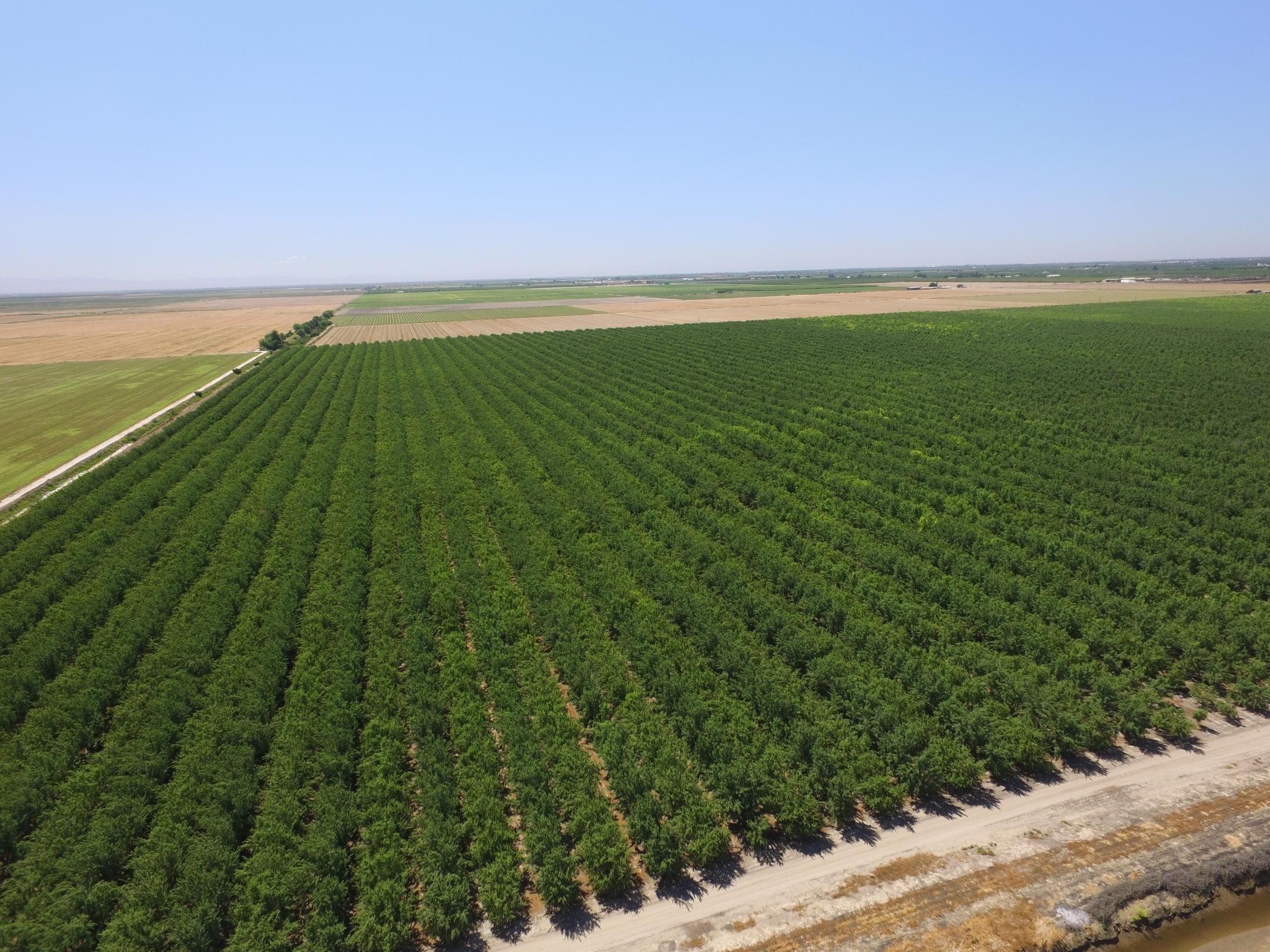 Chowchilla, Madera County, CA Farms and Ranches for sale Property ID