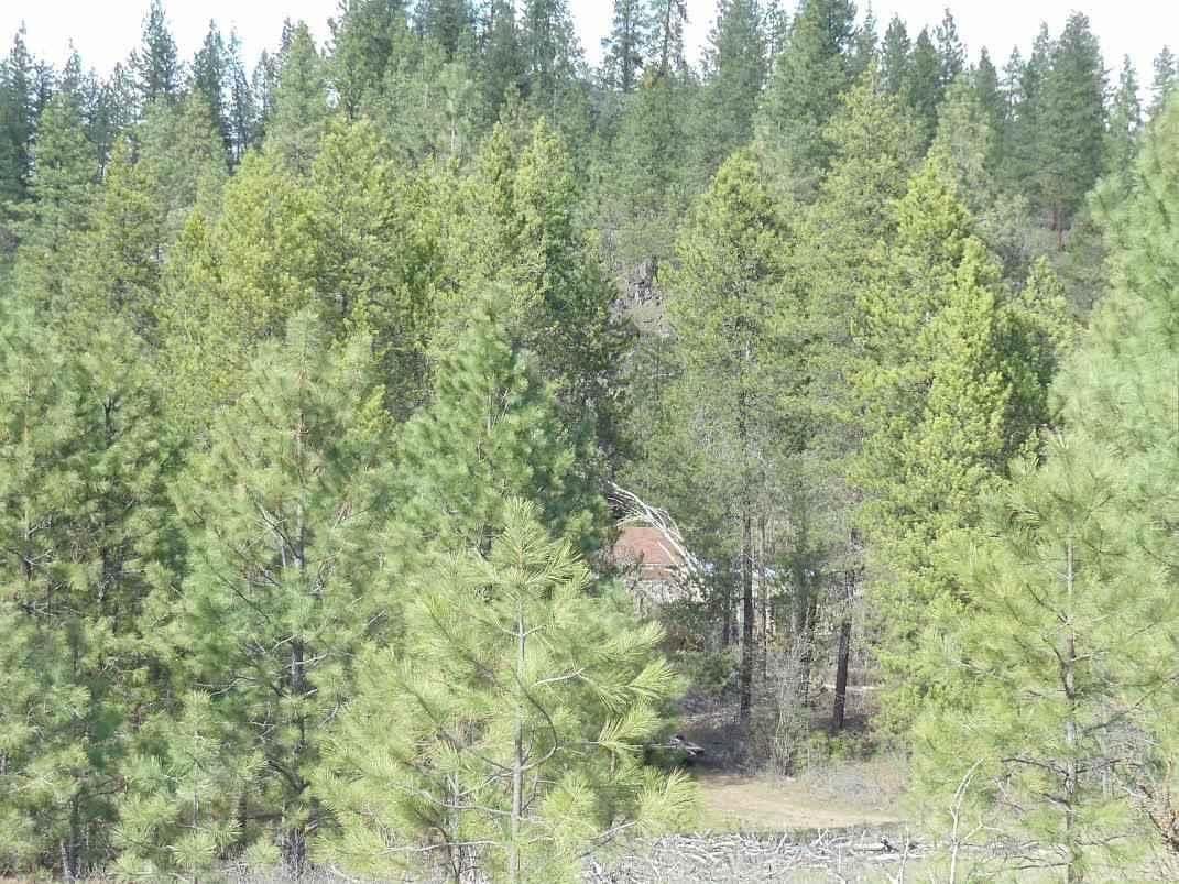 Nine Mile Falls, Stevens County, WA Farms and Ranches for sale Property