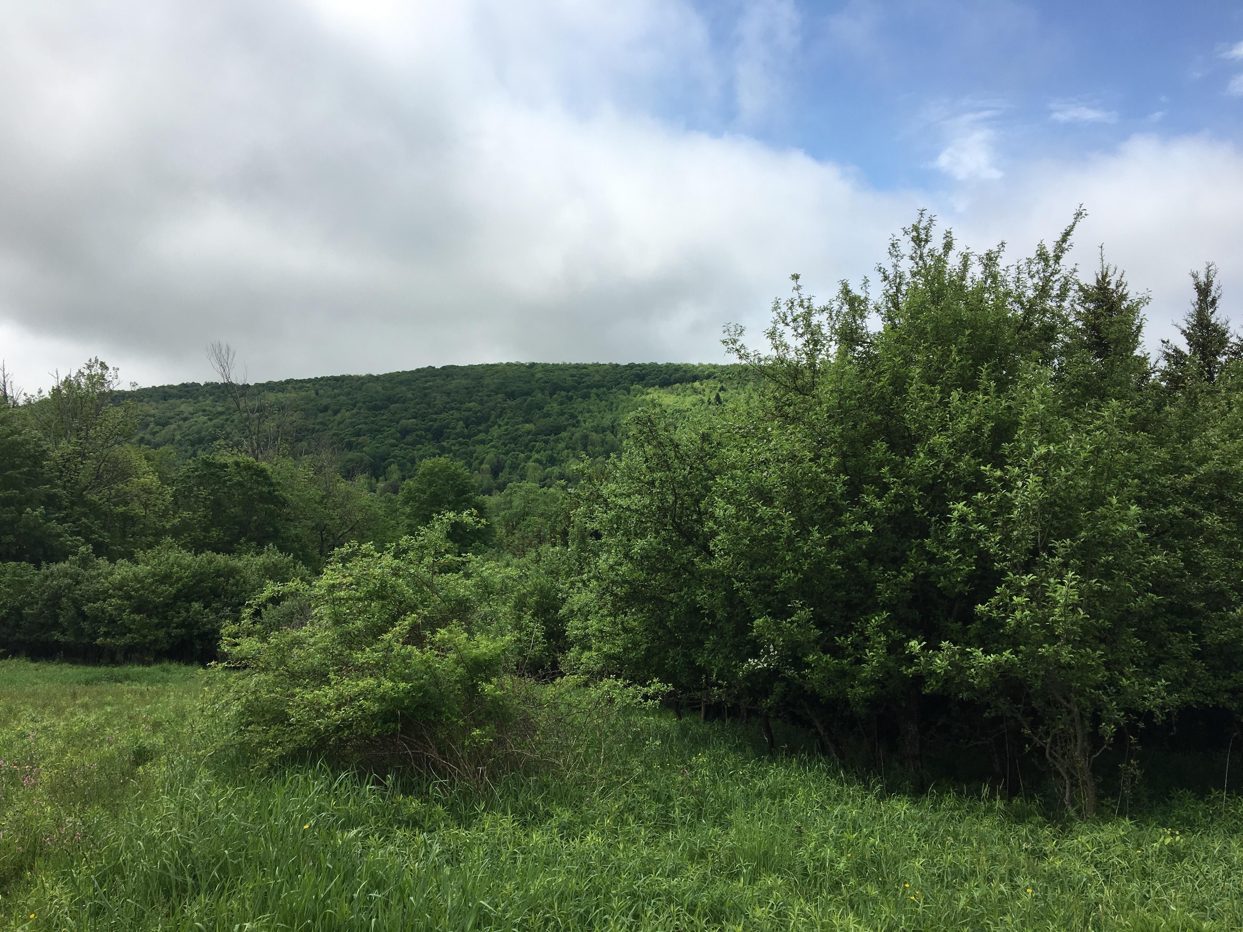 Truxton, Cortland County, NY Recreational Property for sale Property ID