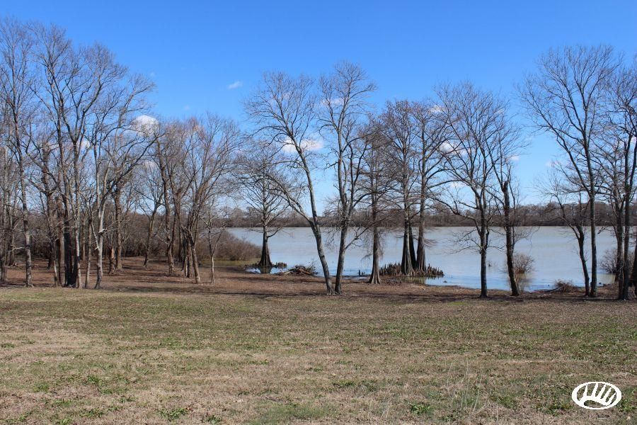 Belzoni, Humphreys County, MS Farms and Ranches for sale Property ID
