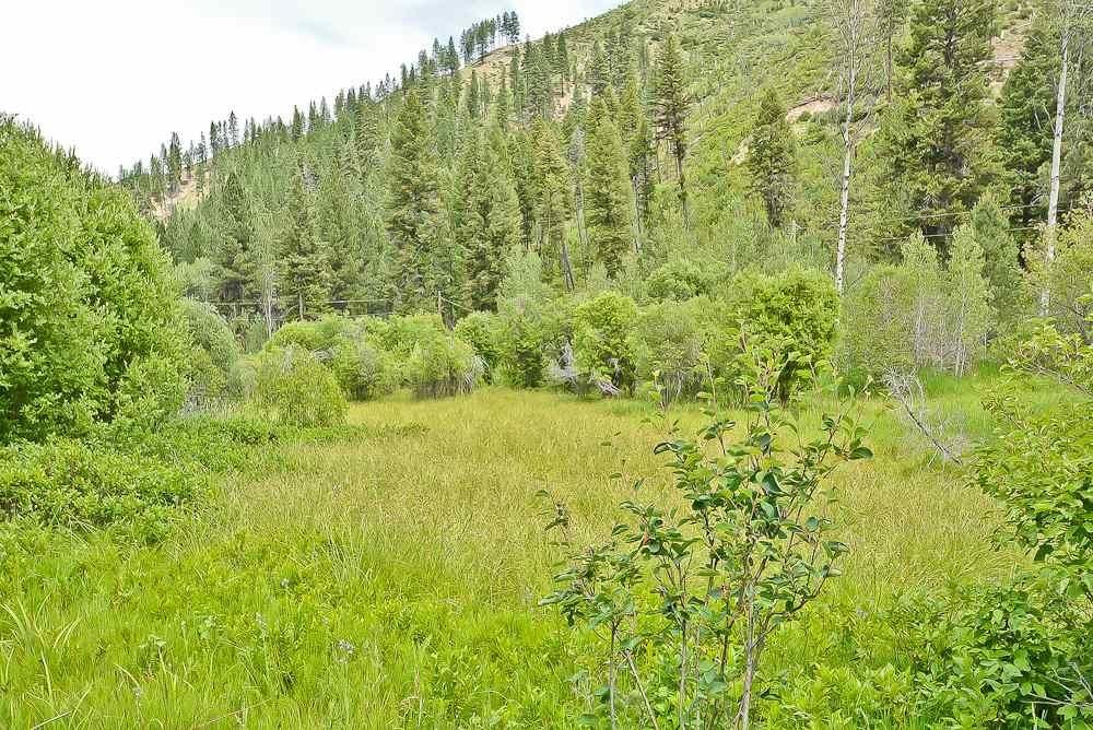 Lowman, Boise County, ID Farms and Ranches, Homesites for sale Property