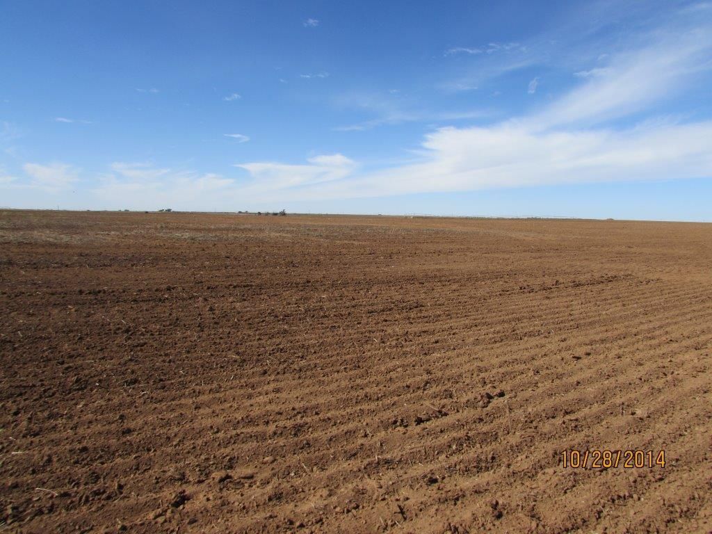 Bovina, Parmer County, TX Farms and Ranches for sale Property ID