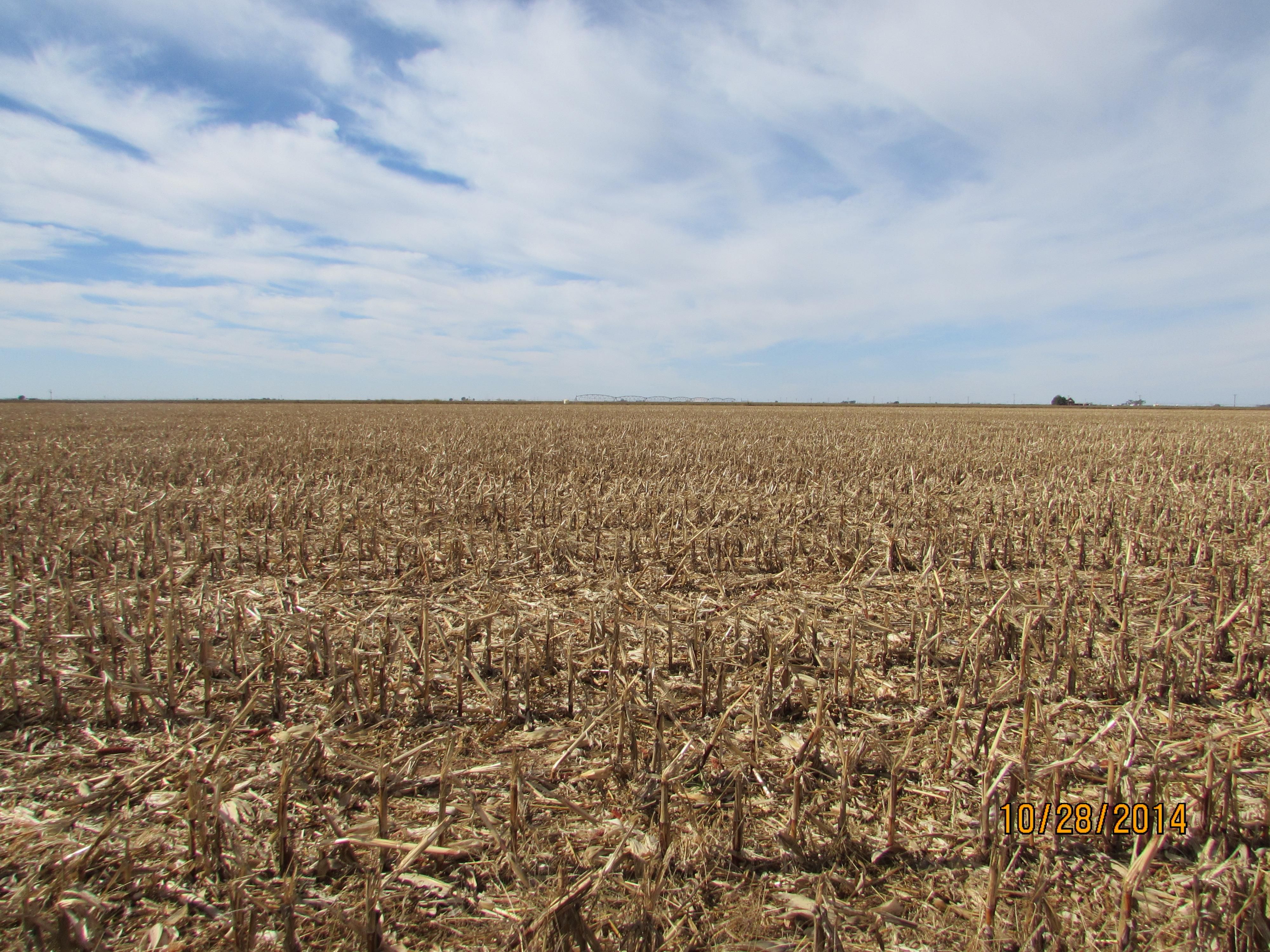 Muleshoe, Bailey County, TX Farms and Ranches for sale Property ID