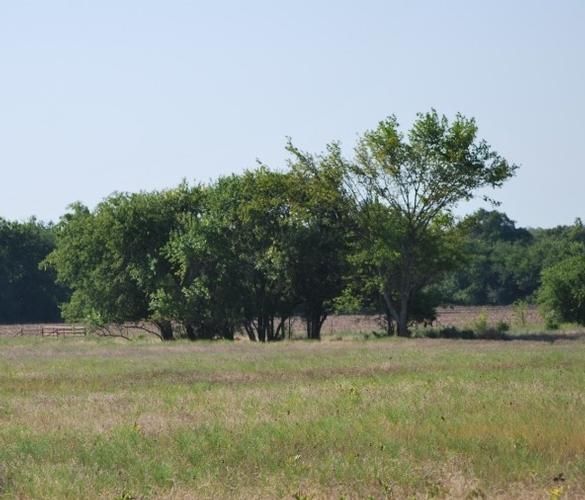 Van Alstyne, Grayson County, TX Farms and Ranches for sale Property ID