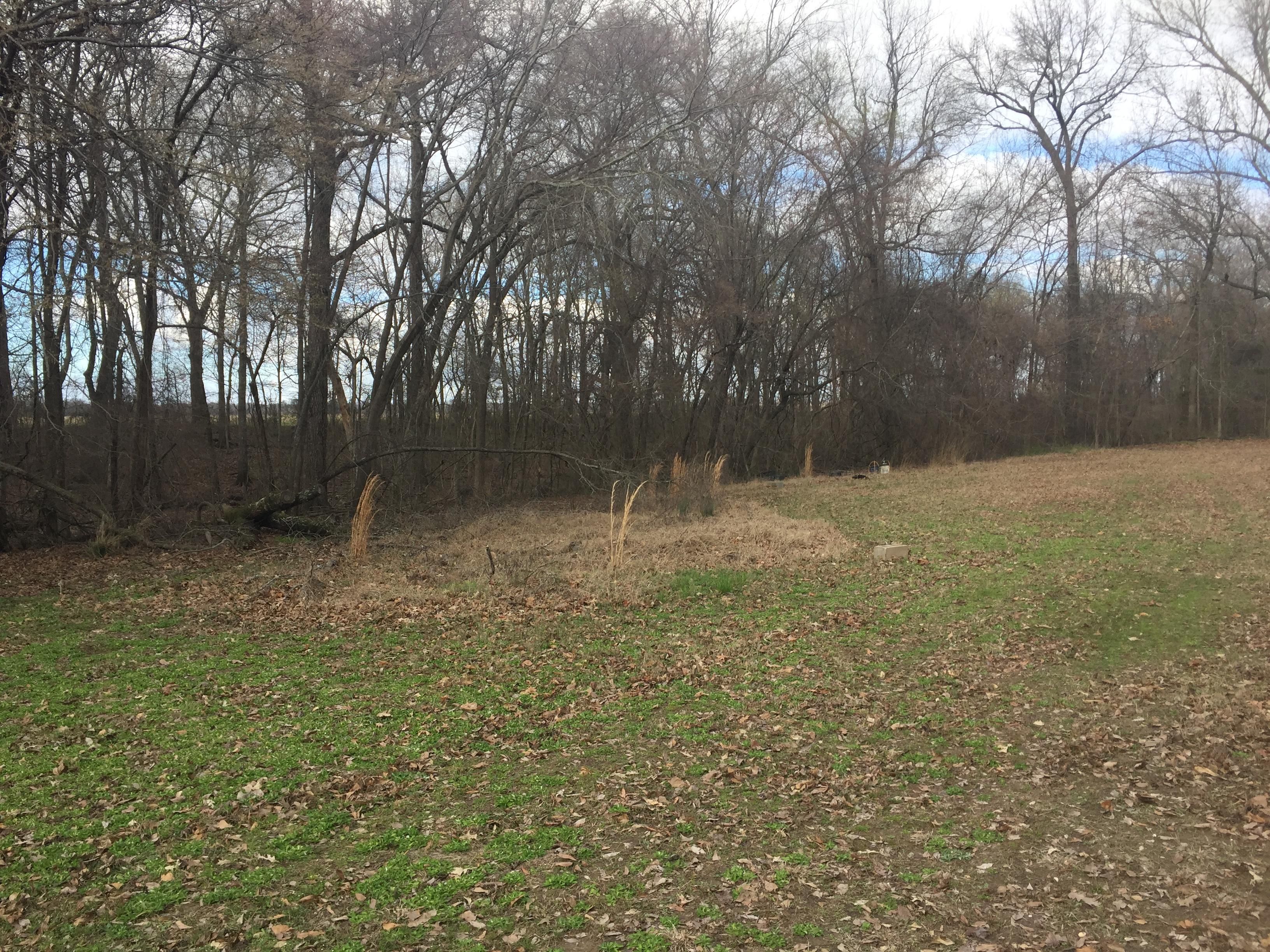 Humphrey, Arkansas County, AR Recreational Property, Undeveloped Land