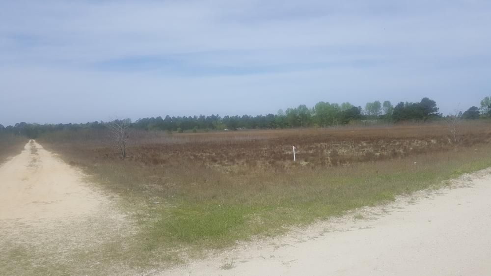 Harrells, Sampson County, NC Recreational Property, Homesites for sale