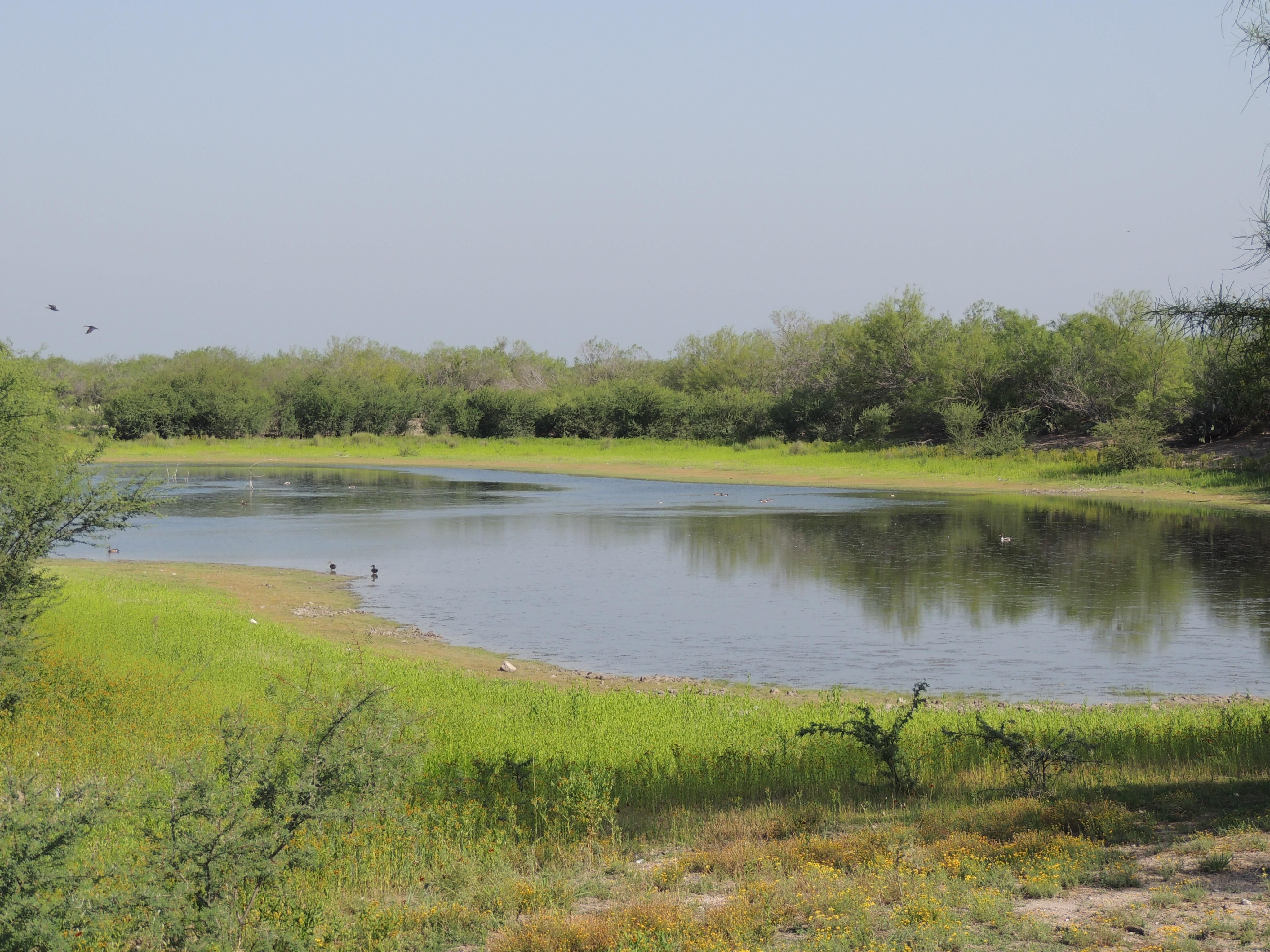 Encinal, Webb County, TX Farms and Ranches, House for sale Property ID