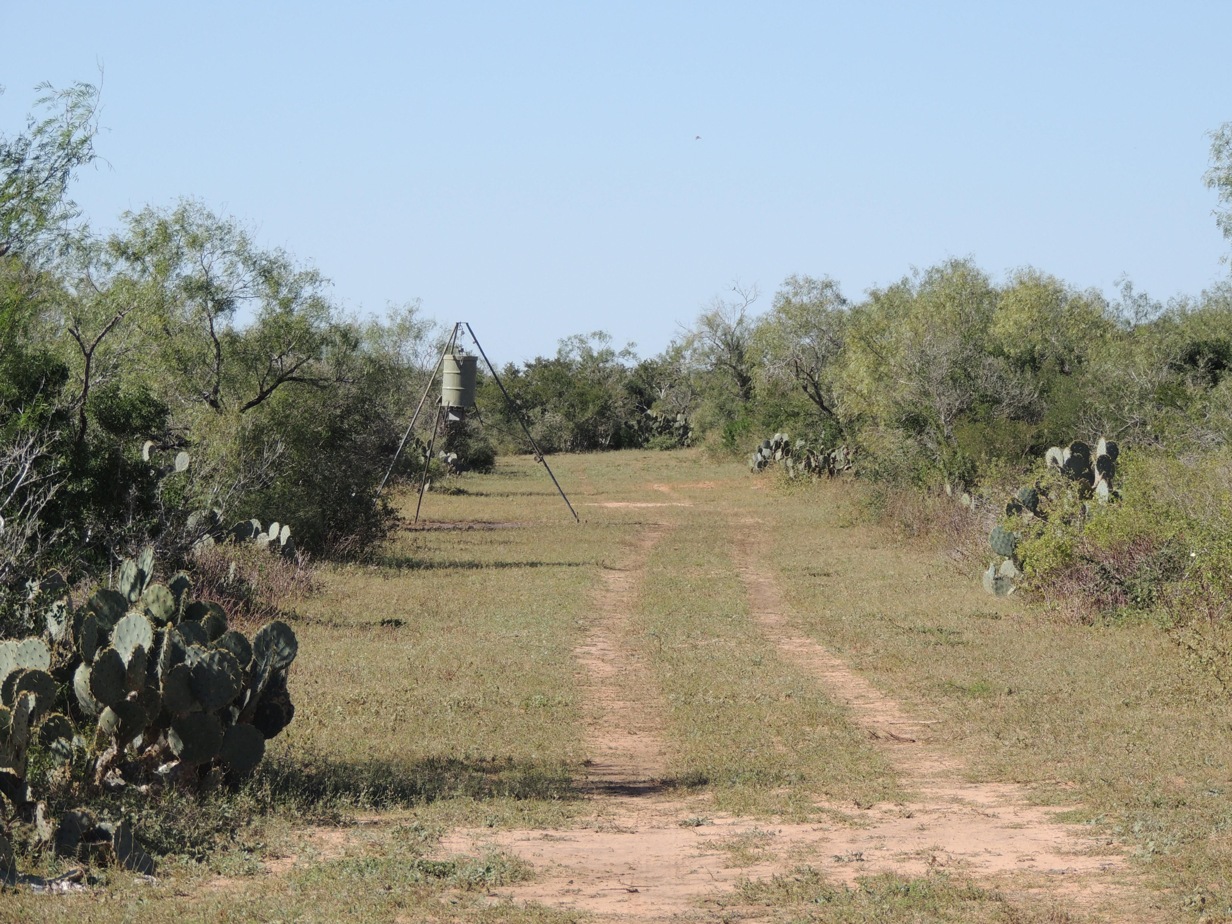 110 acres in Realitos, TX, 78376 LandWatch