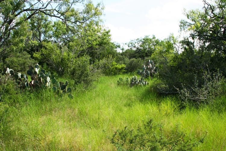 Campbellton, Karnes County, TX Farms and Ranches for sale Property ID