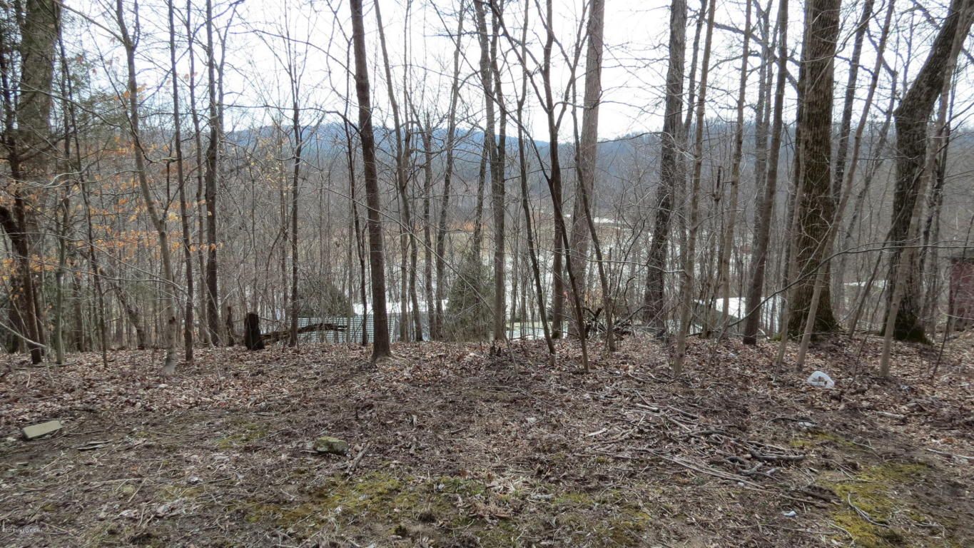 Cub Run, Hart County, KY Homesites for sale Property ID 326533066