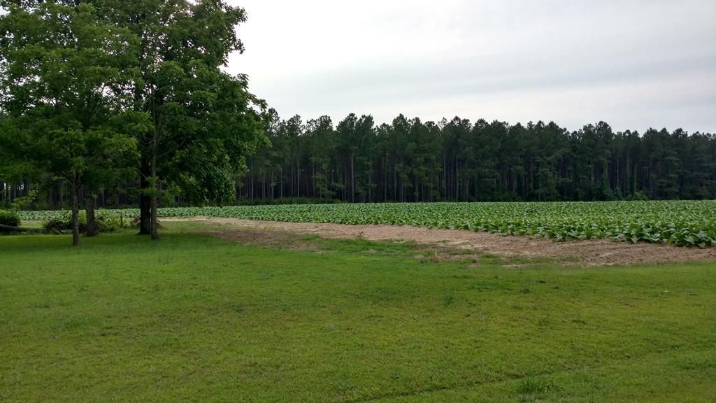 Lillington, County, NC Farms and Ranches, Hunting Property for